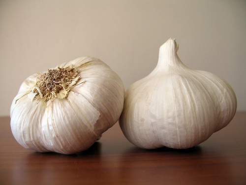 Garlic Superfood