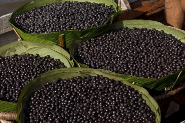 acai-berries-healthy-foods