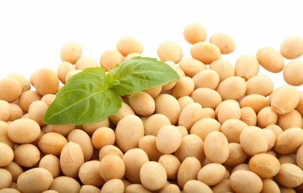 healthy-soy beans
