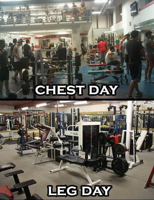 chest day workouts
