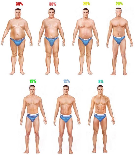 different-body-fat-percentage