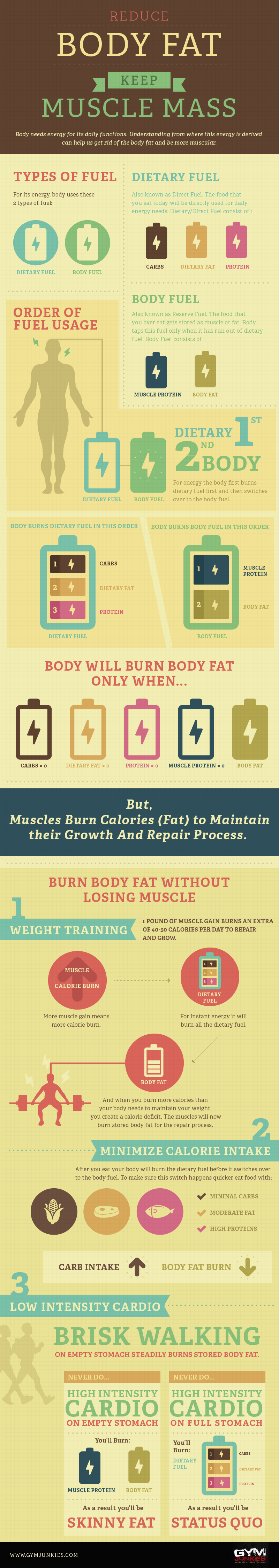 Reduce Body Fat Keep Your Muscle Mass [Infographic]