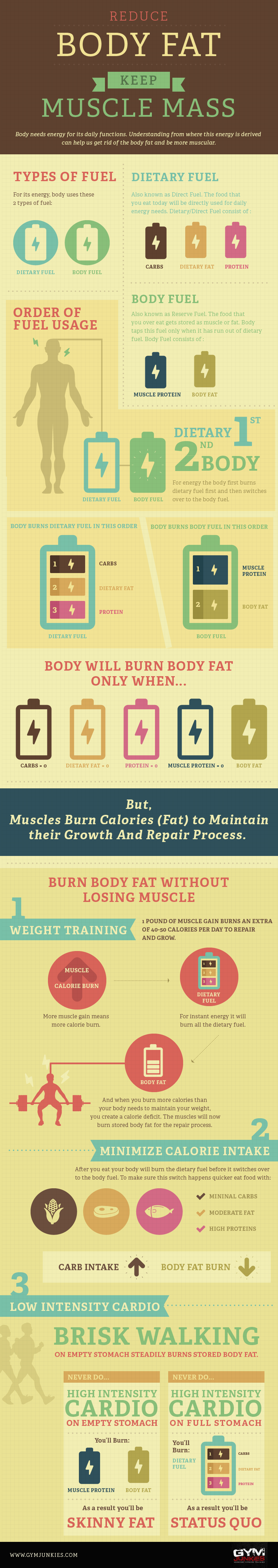 reduce-body-fat-keep-muscle-mass-gymjunkies