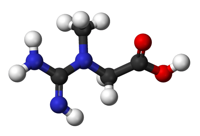 best creatine monohydrate