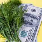 Cheap and Healthy Meals