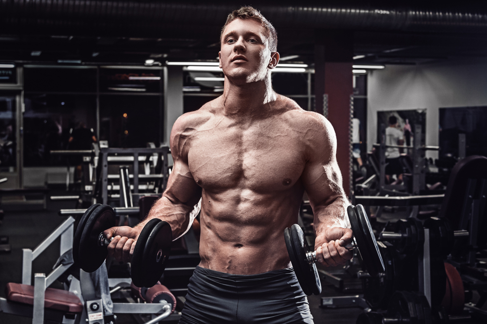 how to gain muscle masses