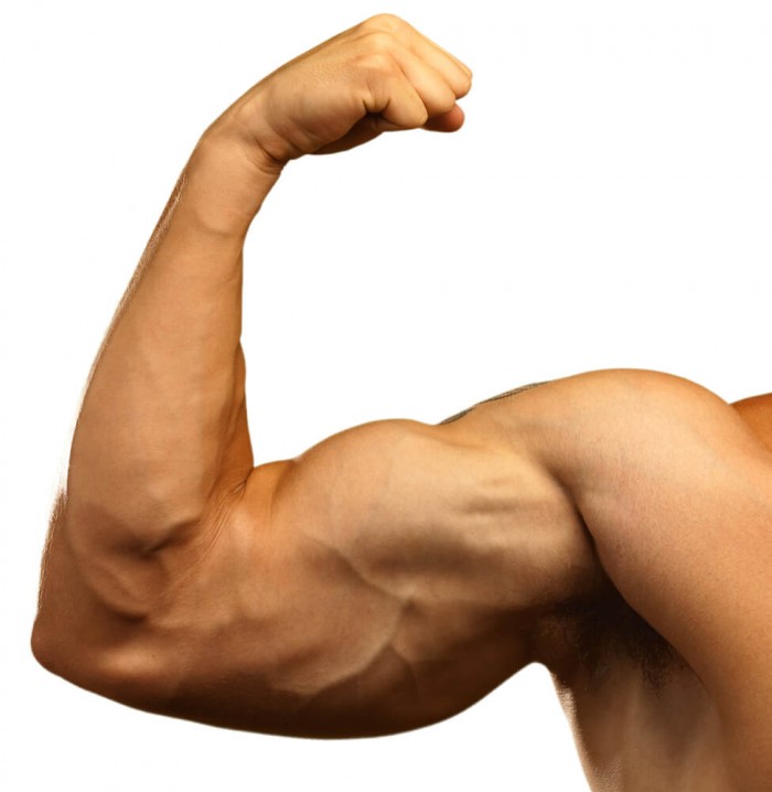 Massive Arms Workout: Add an Inch to Your Arms in 21 Days Gym Junkies