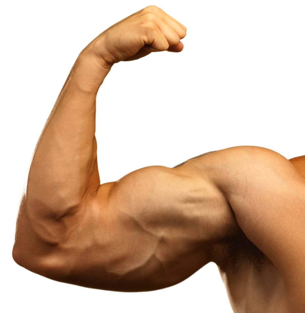 Massive Arms Workout: Add an Inch to Your Arms in 21 Days | Gym Junkies