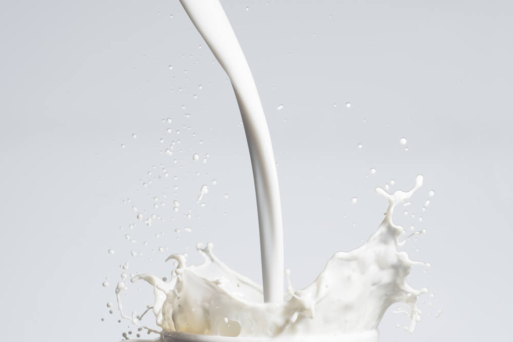 Milk For Muscle Building