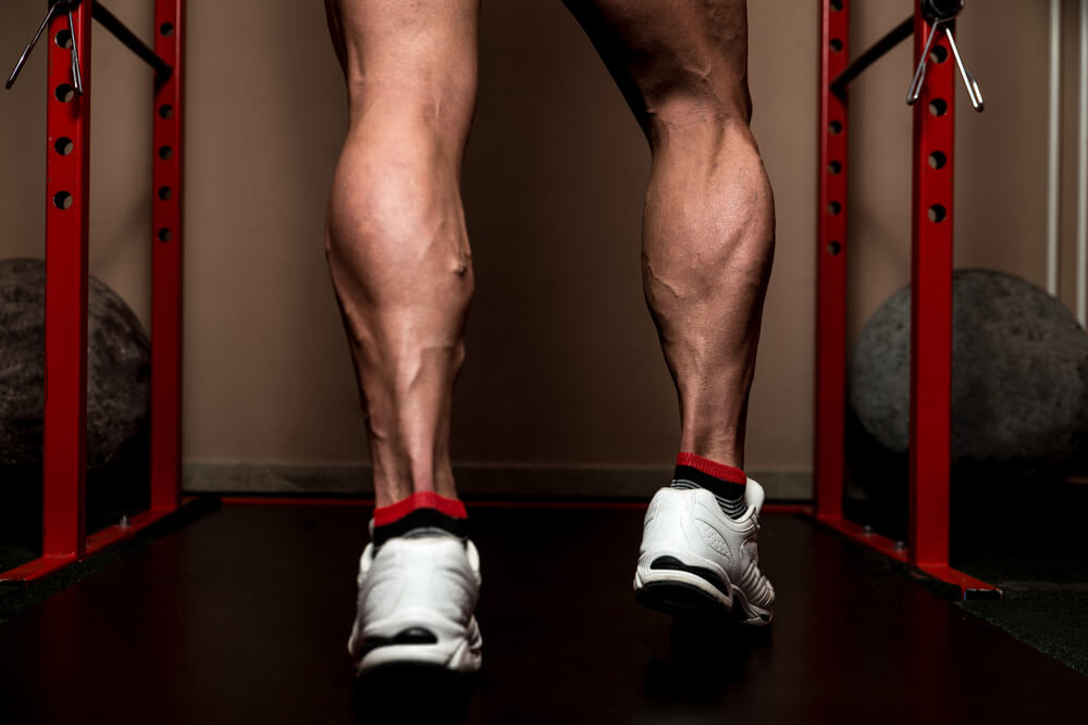 muscle fibers training