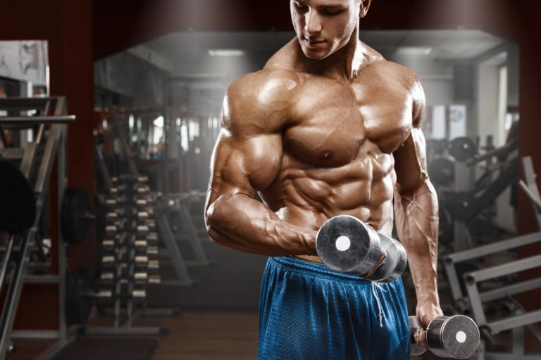 Best Exercises For Major Muscle Groups Gym Junkies