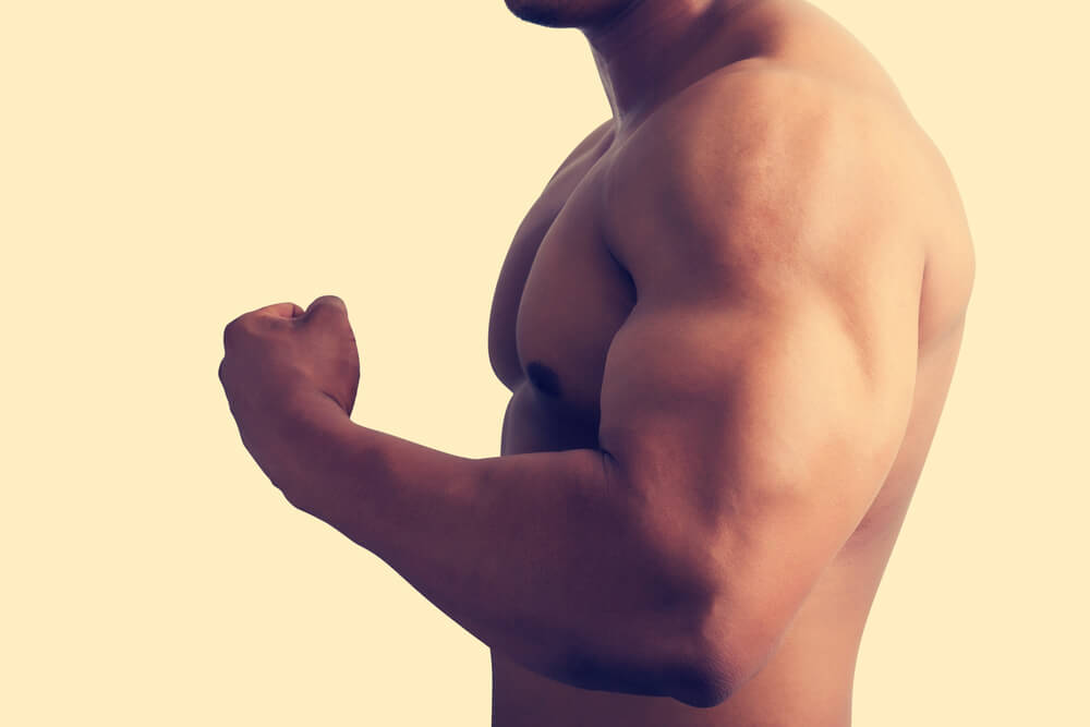 how to get big muscles