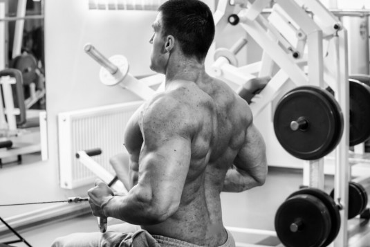 Best Back Workout Plan To Build a Stronger Back | Gym Junkies