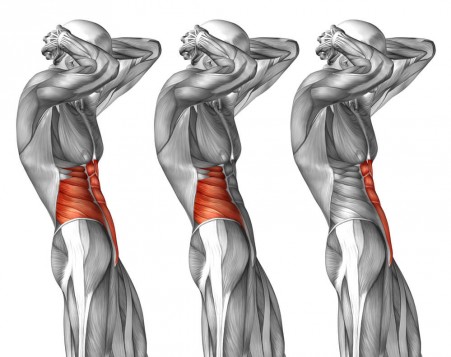 Understanding The Anterior Pelvic Tilt | Gym Junkies