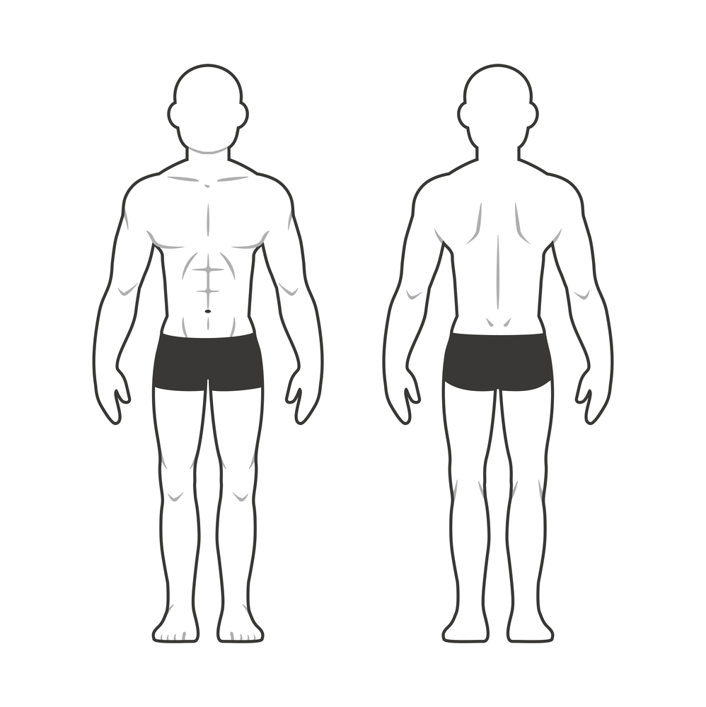 Are You A Mesomorph