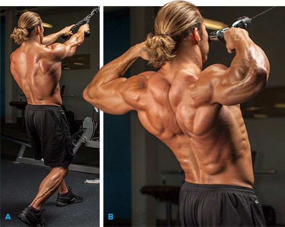 The Best Rear Delt Exercises You Need To Try And Why