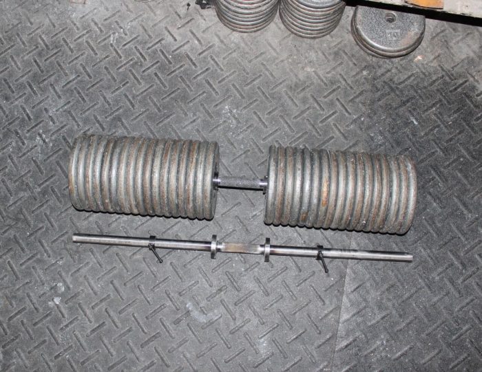 Kroc Rows How To Do Them & What You Need To Know Gym Junkies