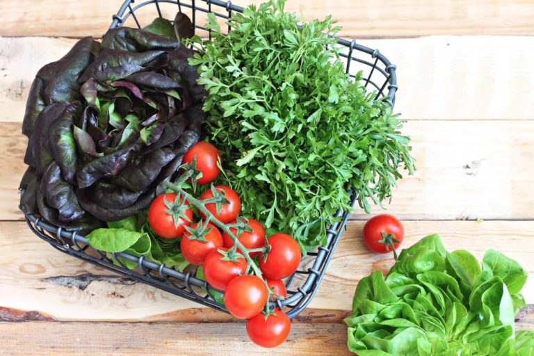 Watercress Benefits And The Best Way To Consume It Gym Junkies