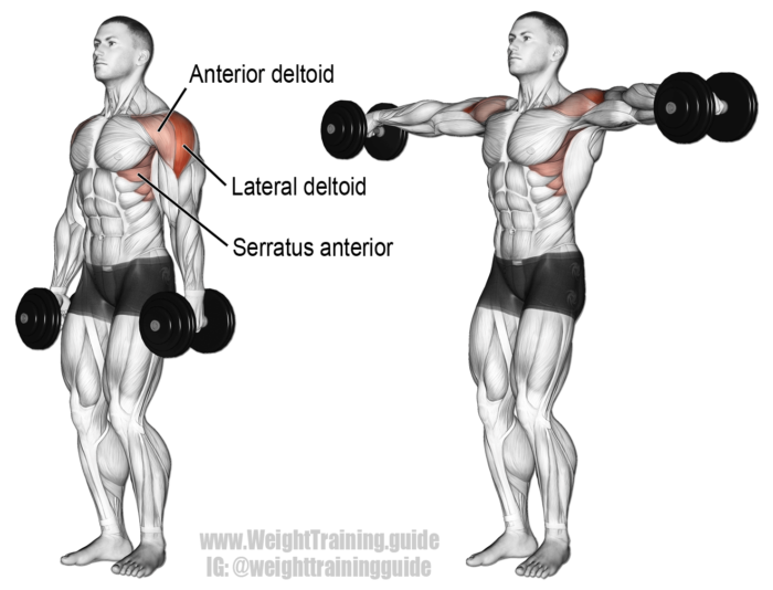 Lateral Raises How To Use Them In Your Workouts Gym Junkies