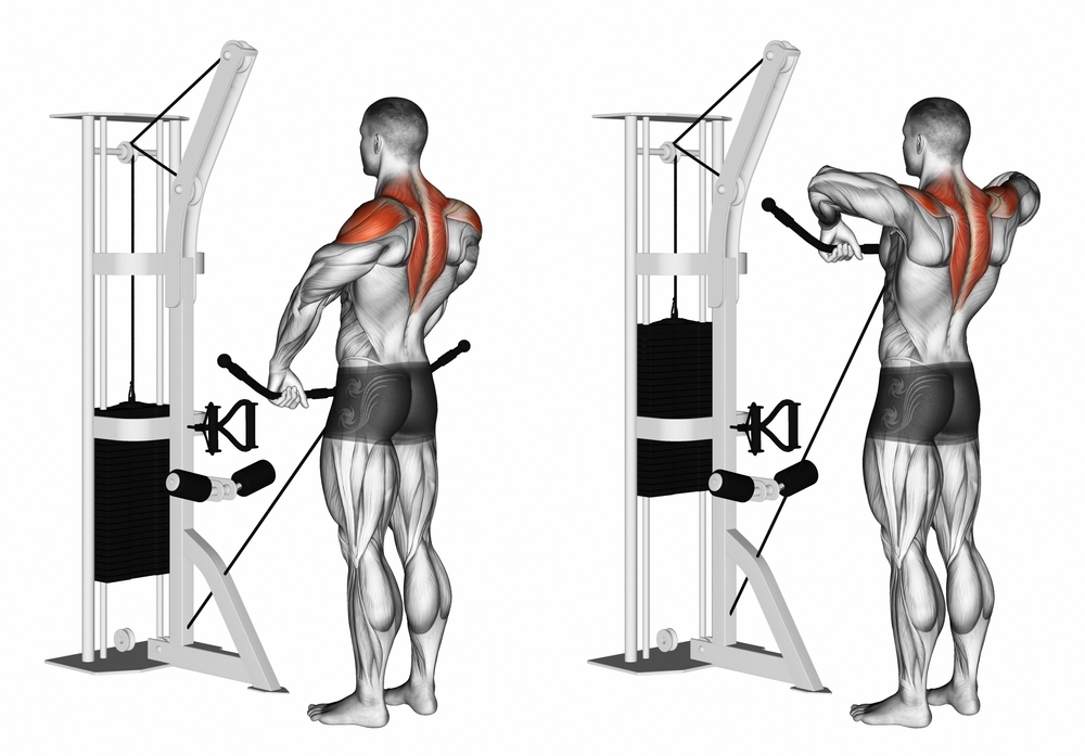 Muscles Worked During Upright Row Exercise