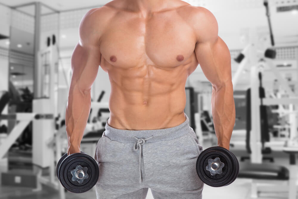 Upper Chest Muscles