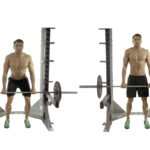Rack Pulls – Should You Add Them To Your Back Workout? rack pulls