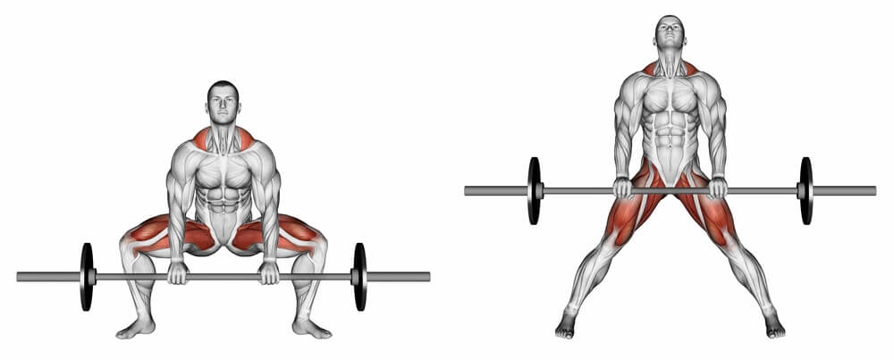 Muscles Used in the Sumo Deadlift