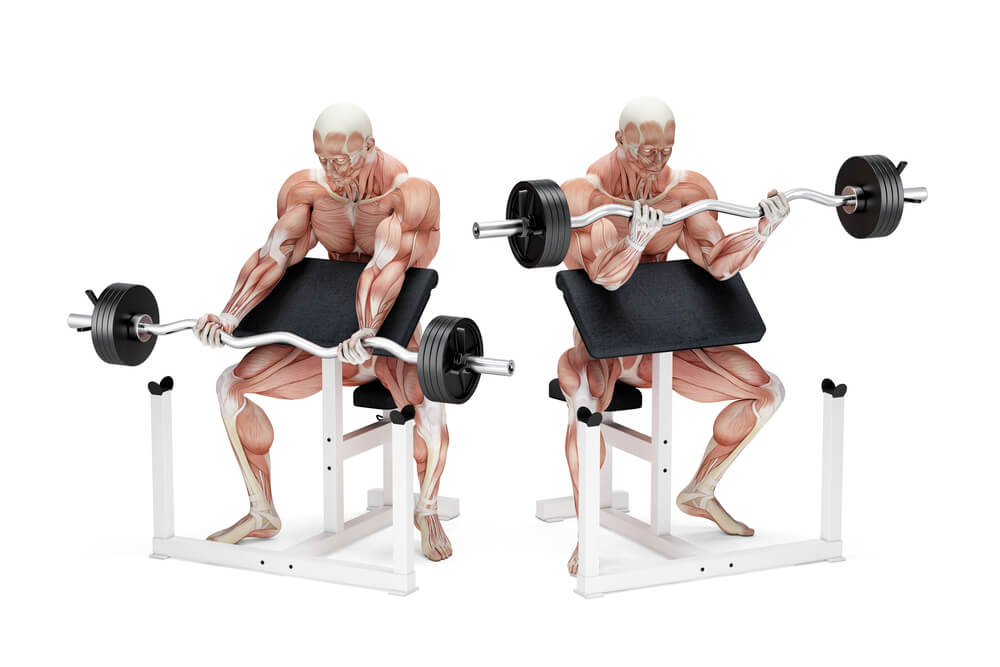 preacher-curl-workouts-for-gains