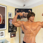 Arnold Schwarzenegger Bodybuilding – How Did he Rise to the Top?