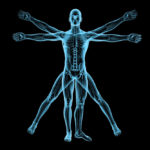 The Effects of Inflammation on Joe Rogan with Dr. Mark Gordon M.D