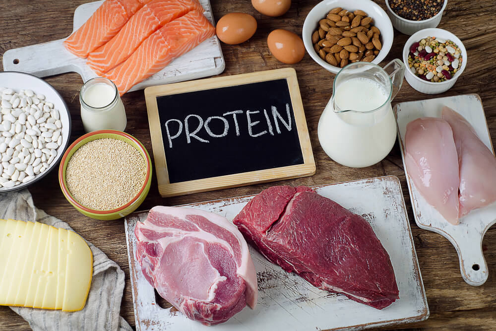 protein foods 