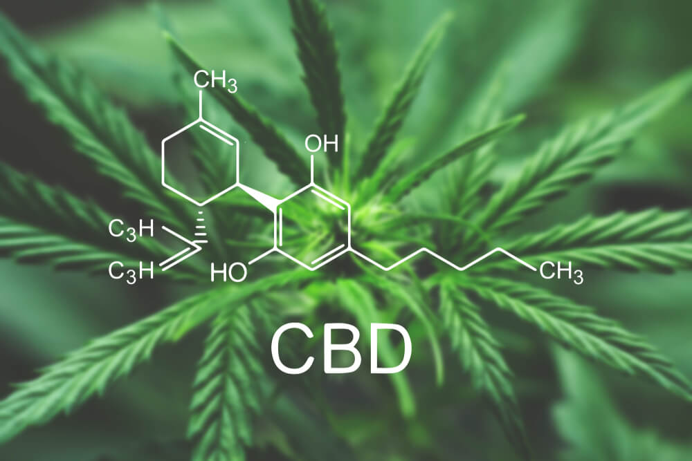 Can CBD Boost Athletic Performance? Find Out What Experts Say!