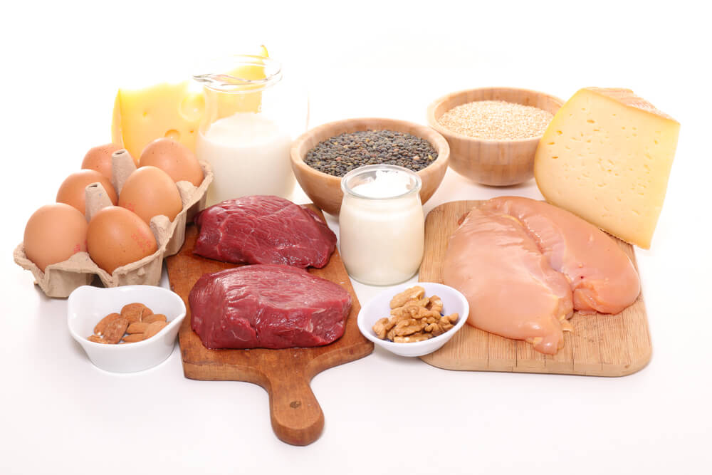 Follow a Protein-Based Diet