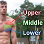 Calisthenics Chest Workout: What You Need to Know