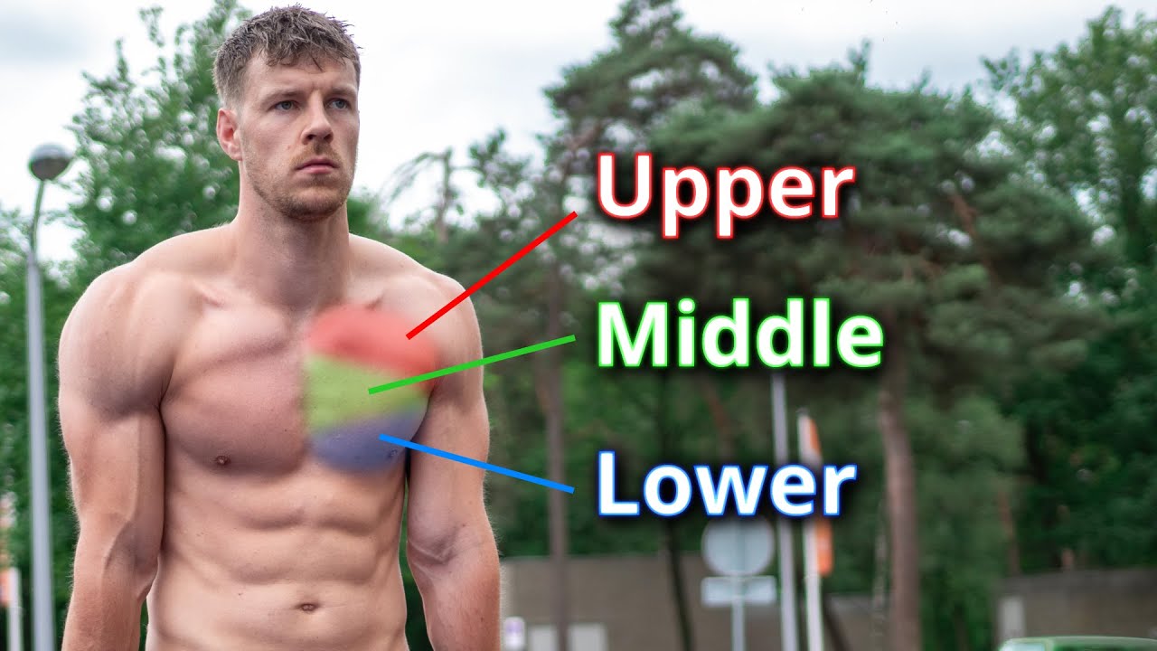 Calisthenics Chest Workout: What You Need To Know | Gym Junkies