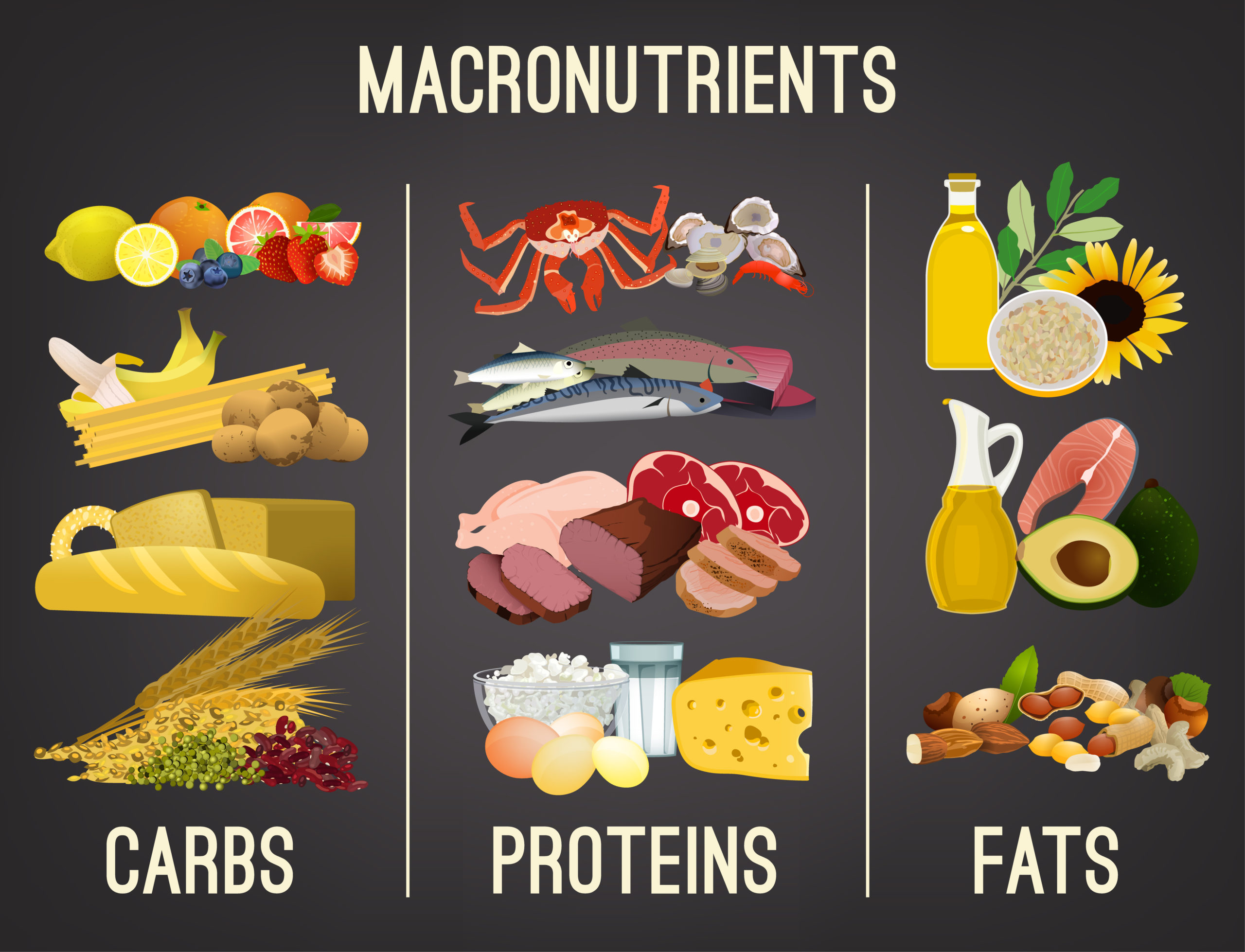 macronutrients carbs proteins fats