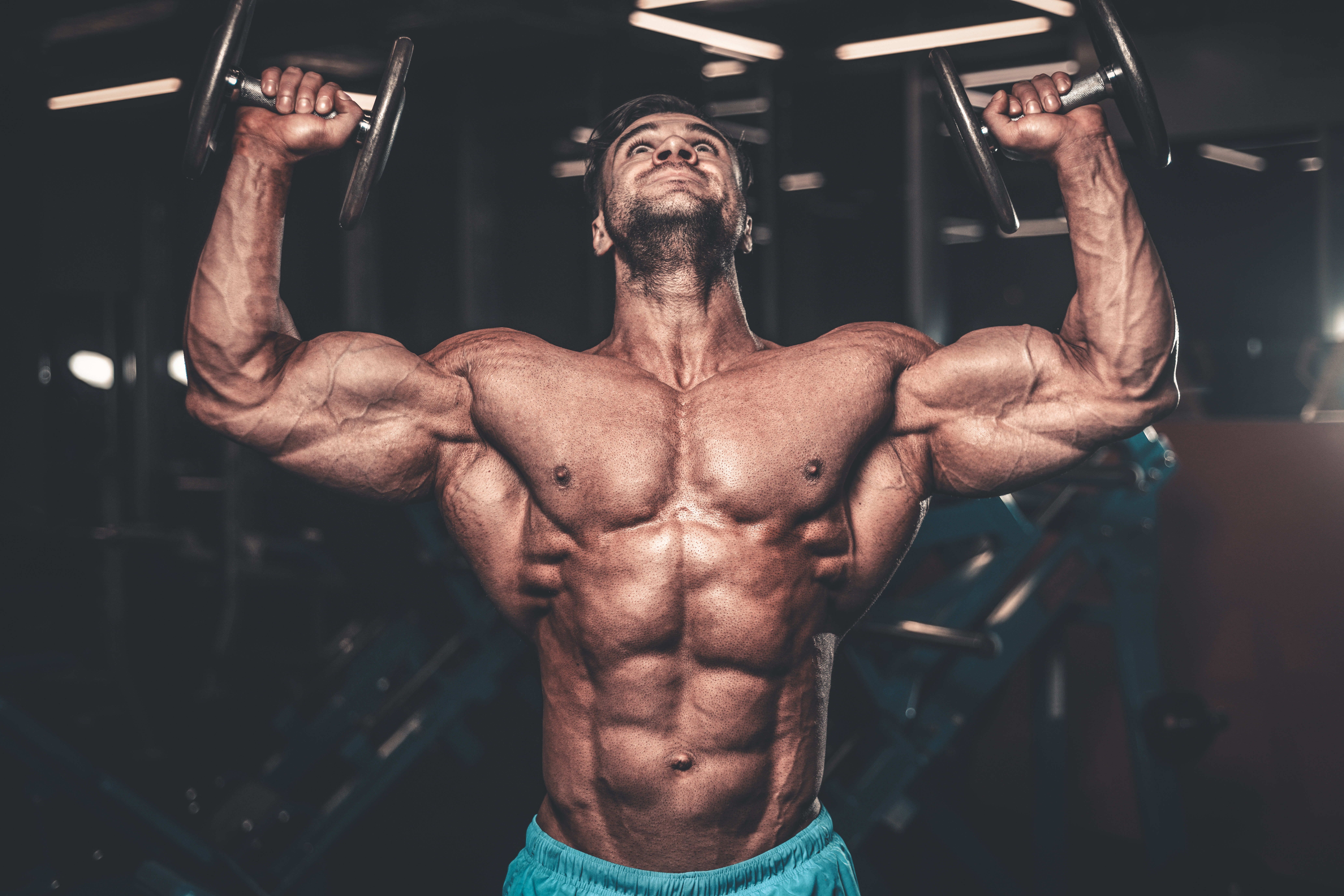 muscle gain resistance and strength profile