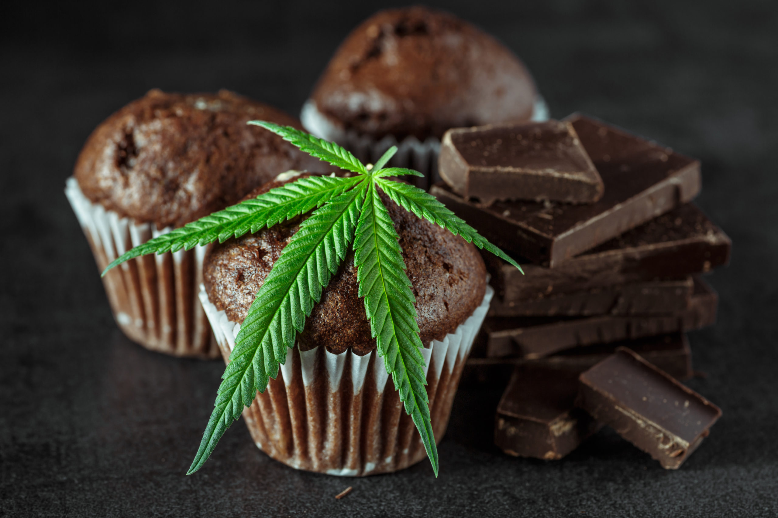THC Edibles: How They Can Help Your Fitness Journey