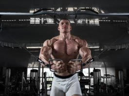 Introduction to Bodybuilding